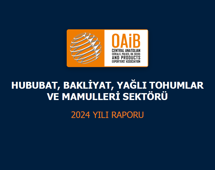2024 Yılı Sektör Raporu 