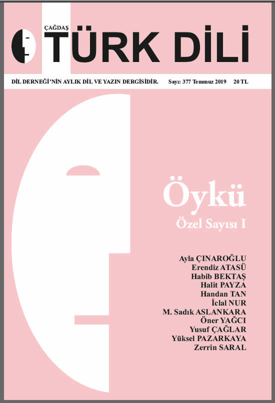 TEMMUZ 2019 - 377. SAYI