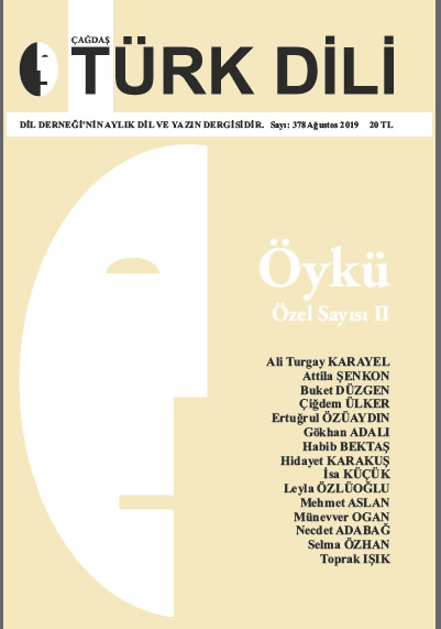 AĞUSTOS 2019 - 378. SAYI