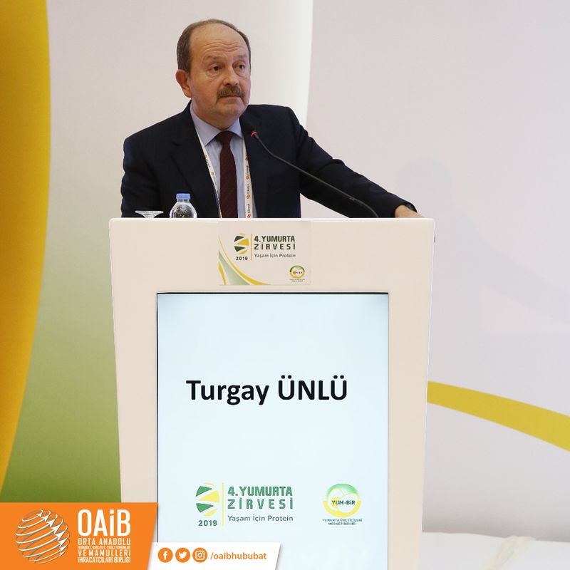IV. Yumurta Zirvesi