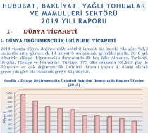 Sektör Eki-2019
