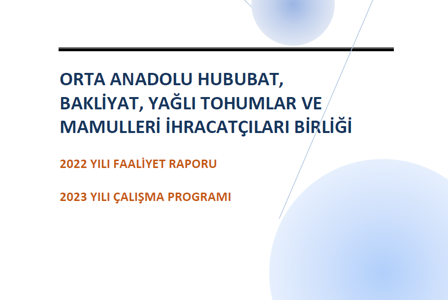FAALİYET RAPORU 2022